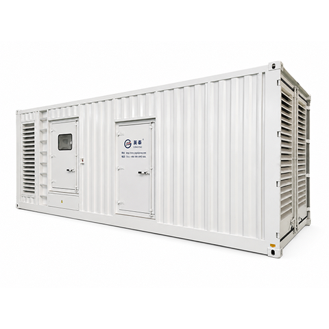 Non-Standard Containerized Diesel Generator