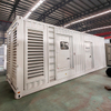 Non-Standard Containerized Diesel Generator