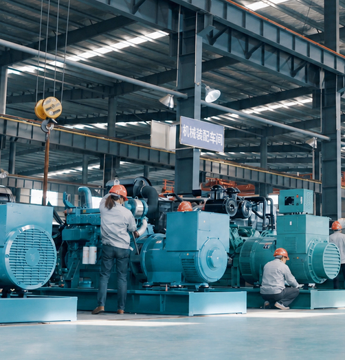 Complete generator testing and factory inspection