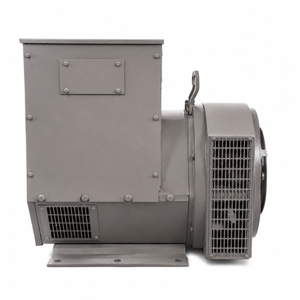 Yingtai High Voltage Series AC Alternator